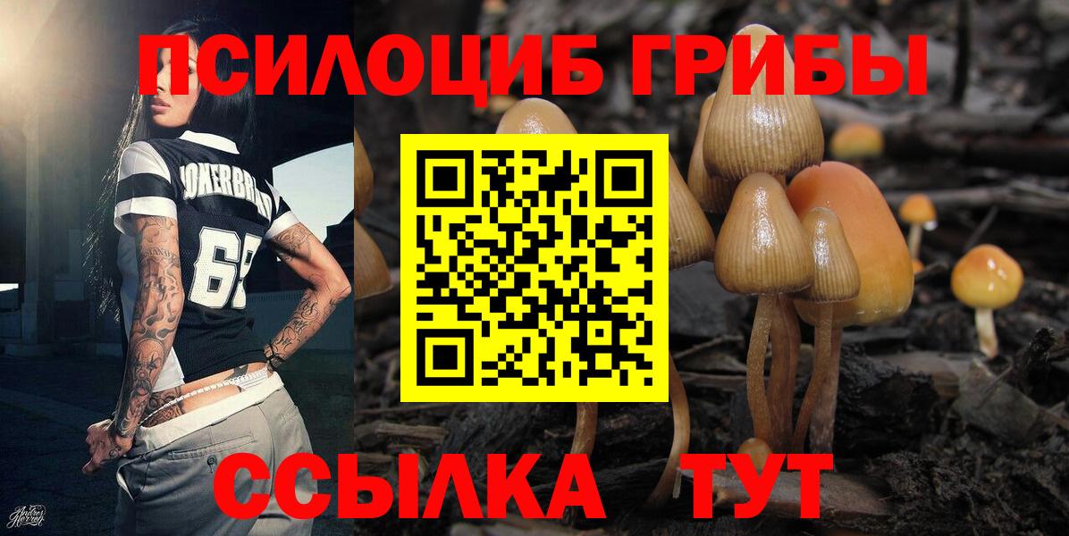 Псилоцибиновые грибы ЛСД  Псилоцибиновые грибы MAGIC MUSHROOMS  Луховицы  Вход с VPN 