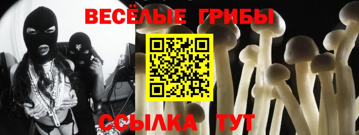 Галлюциногенные грибы Psilocybine cubensis Луховицы