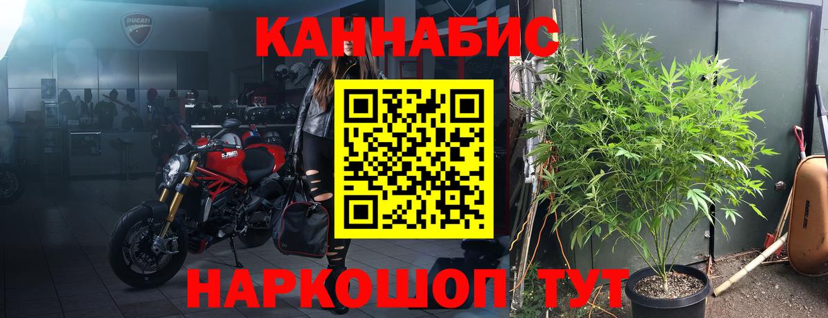 Конопля Ganja  Конопля конопля  Конопля White Widow  Бошки Шишки конопля  Вход с VPN  Луховицы 